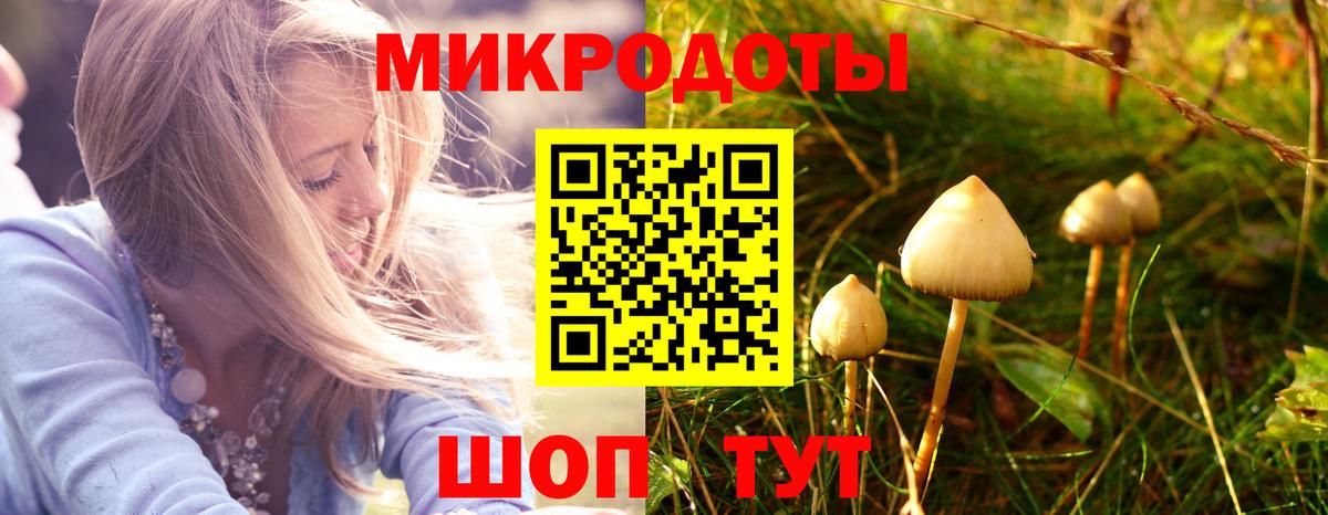 Псилоцибиновые грибы Cubensis  Вход с VPN  Каменка  Псилоцибиновые грибы MAGIC MUSHROOMS 