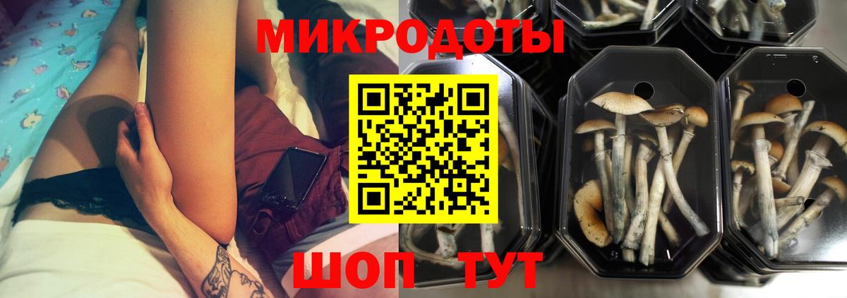 Галлюциногенные грибы GOLDEN TEACHER Каменка